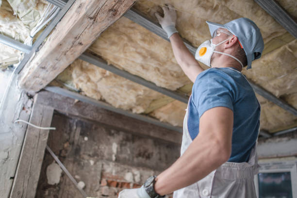 Professional Insulation Contractor in MS
